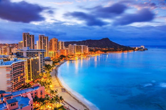 Honolulu Hawaii Skyline Honolulu Wall Decal