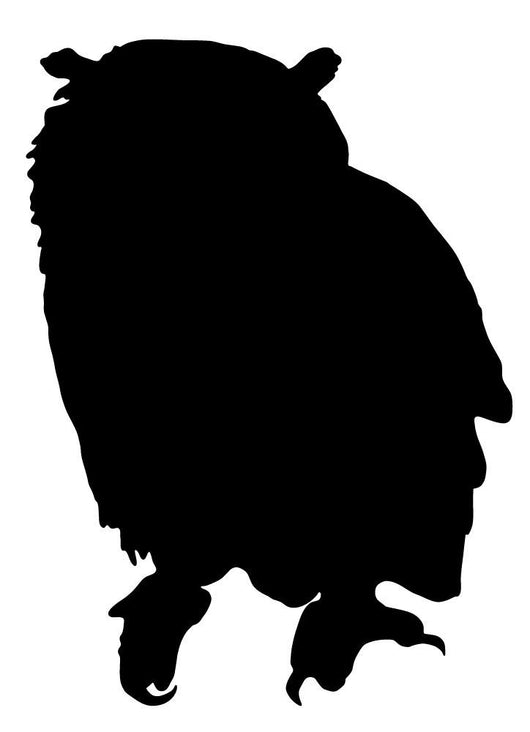 Black Realistic Owl Silhouette Wall Decal