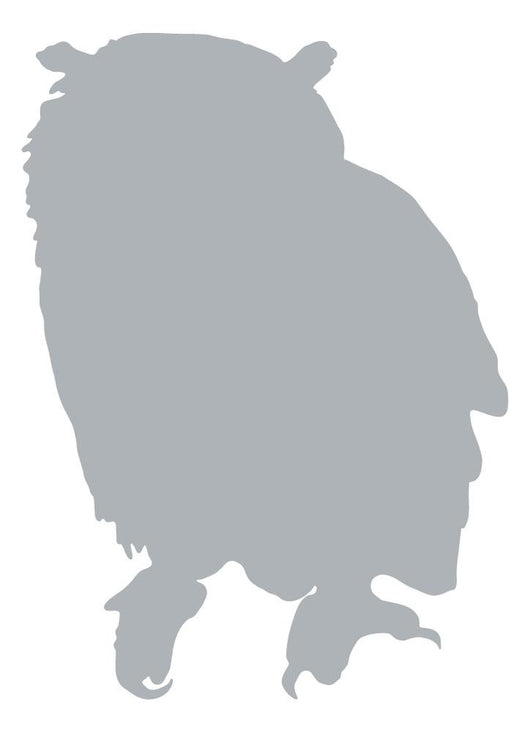 Grey Owl Wall Decal