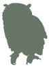 Green Owl Wall Decal