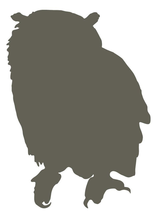 Brown Owl Wall Decal