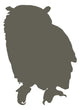 Brown Owl Wall Decal