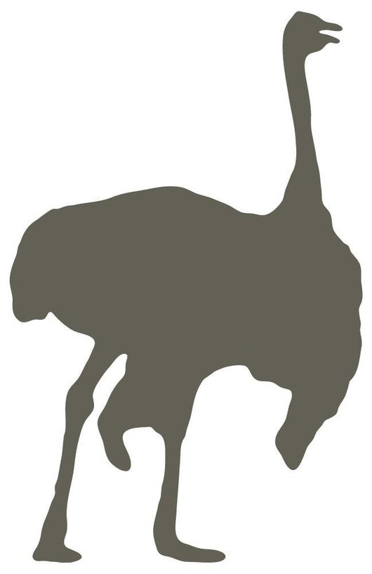 Brown Male Ostrich Wall Decal