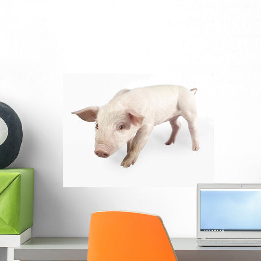 Nosy Little Pig Wall Decal