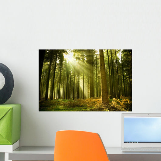 Pine Forest Wall Decal