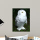 Snowy Owl Wall Decal
