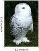 Snowy Owl Wall Decal