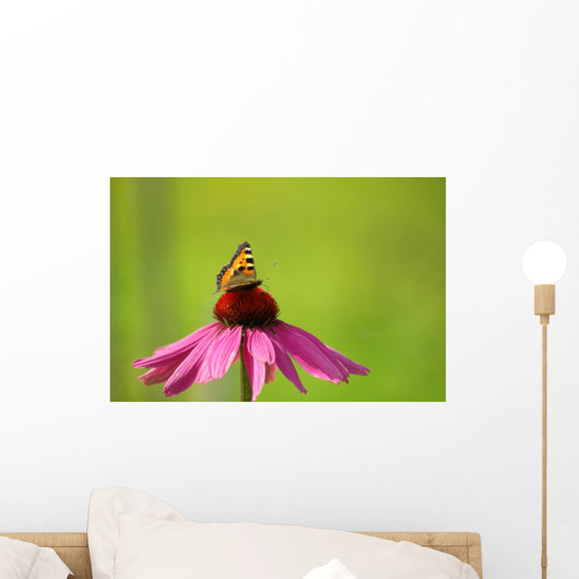 Rudbeckia and Butterfly Wall Decal