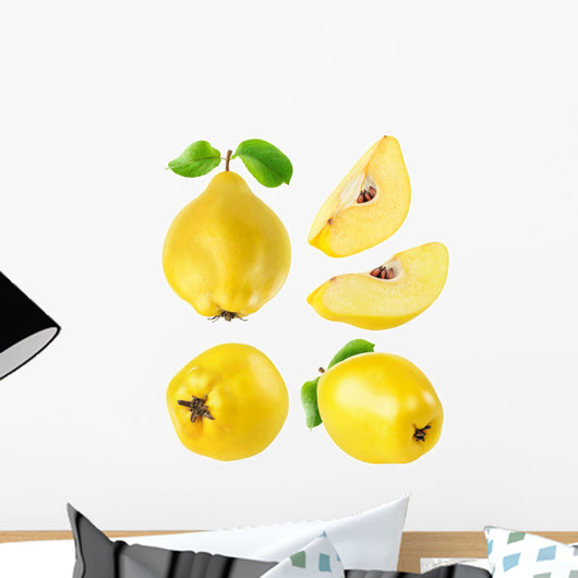 Quince Fruits Collection Wall Stickers