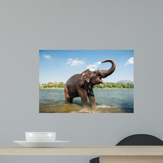 Elephant Washing River Wall Decal