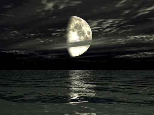 Moonlight Reflecting Sea Wall Decal