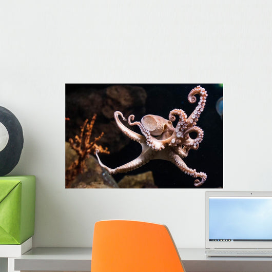 Octopus Wall Decal