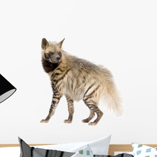 Striped Hyena Wall Decal
