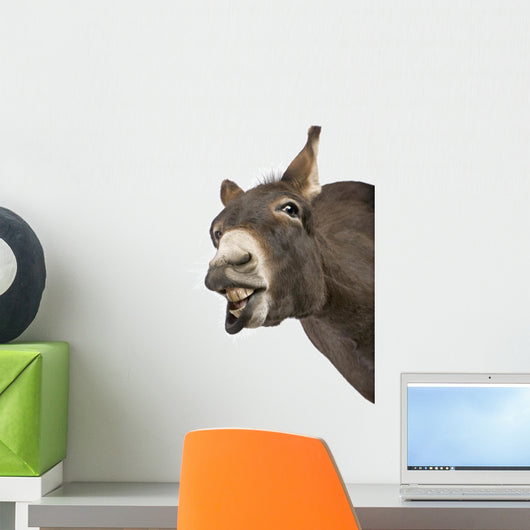 Silly Donkey Wall Decal