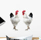 Two White Cocks Wall Decal