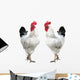 Two White Cocks Wall Decal