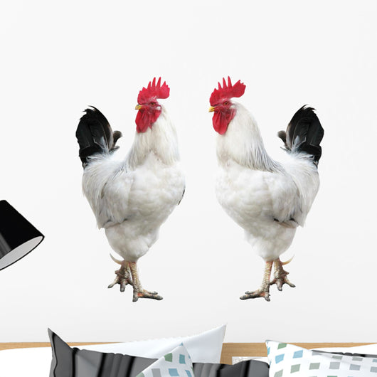 Two White Cocks Wall Decal