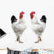 Two White Cocks Wall Decal