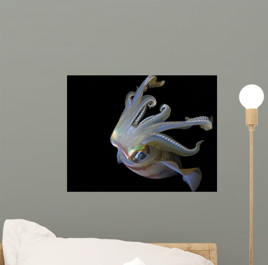 Squid Wall Decal