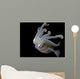 Squid Wall Decal