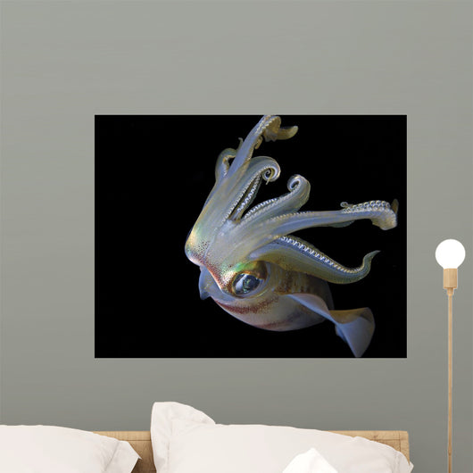 Squid Wall Decal