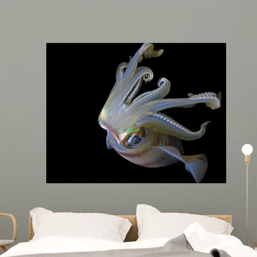 Squid Wall Decal