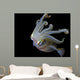 Squid Wall Decal