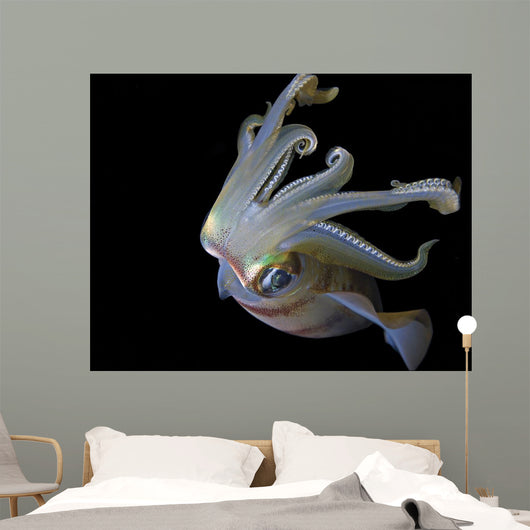 Squid Wall Decal