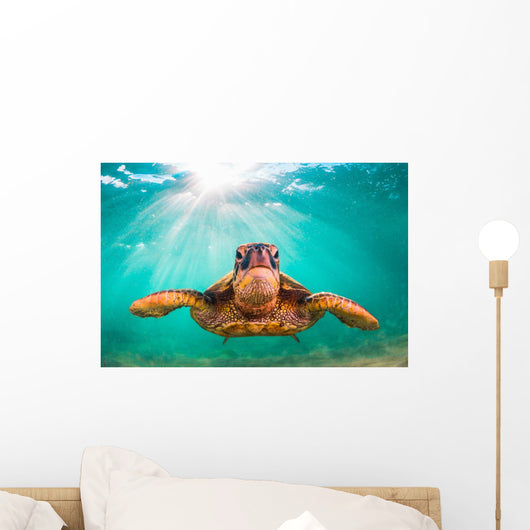 Endangered Hawaiian Green Sea Wall Decal