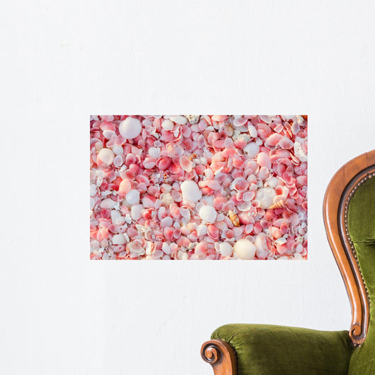 Barbuda Pink Sand Beach Wall Decal