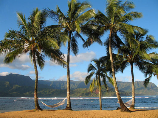 Hawaiian Beach Hammocks Wall Decal