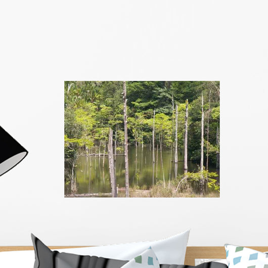 Konica Minolta Digital Camera Wall Decal Design 5