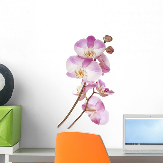 Pink Orchids Wall Decal