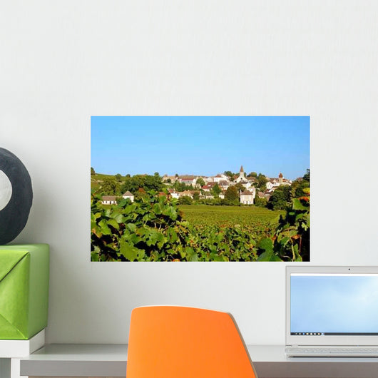 Vineyard Monthelie Wall Decal