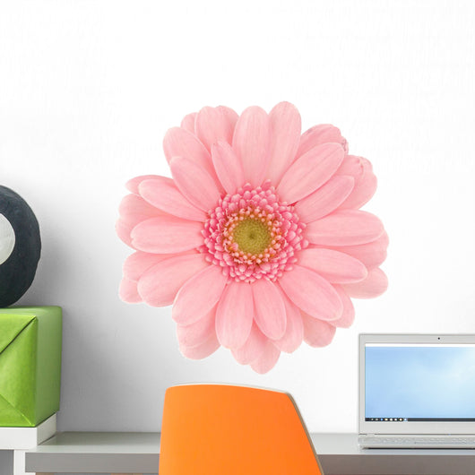 Pink Gerbera Wall Decal