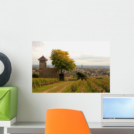 Shards Meursault Wall Decal