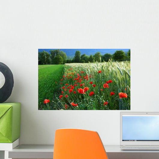 Red Poppies Common Weed Wall Decal