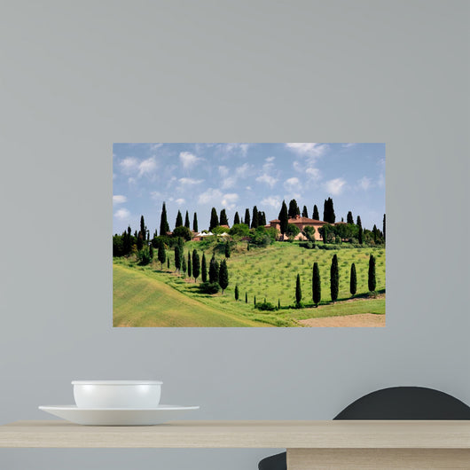 Italy- Toscany Landscape Wall Decal