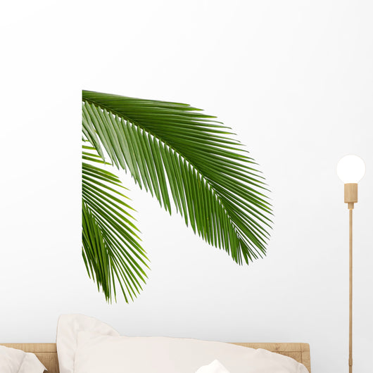 Leaves Palm Tree Wall Decal