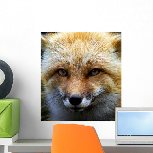 Red Fox Wall Decal