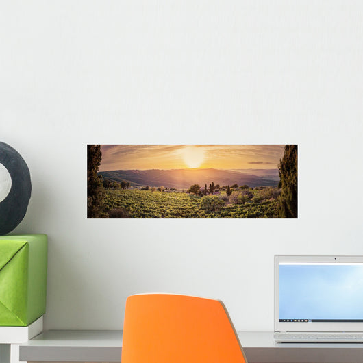 Vineyard Landscape Tuscany Italy Wall Decal Panoramic Wall Decal