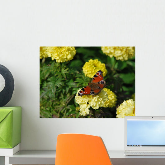 Butterfly Wall Decal