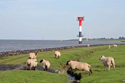 Landscape North Sea Coast Wall Decal