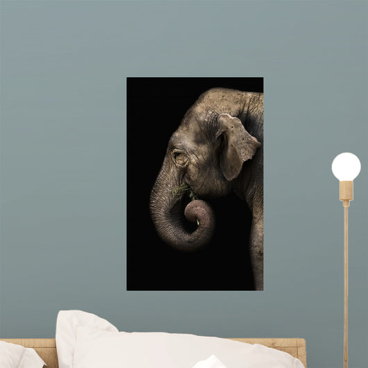 Elephant Wall Decal Design 1