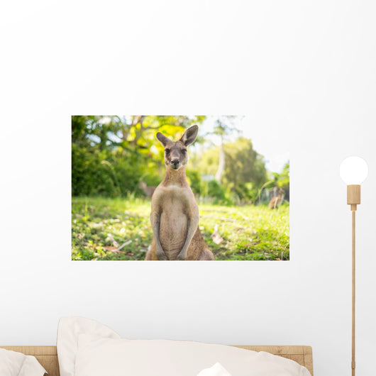 Kangaroo Open Field Wall Decal
