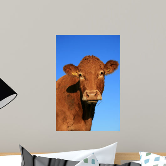 Cow Wall Decal