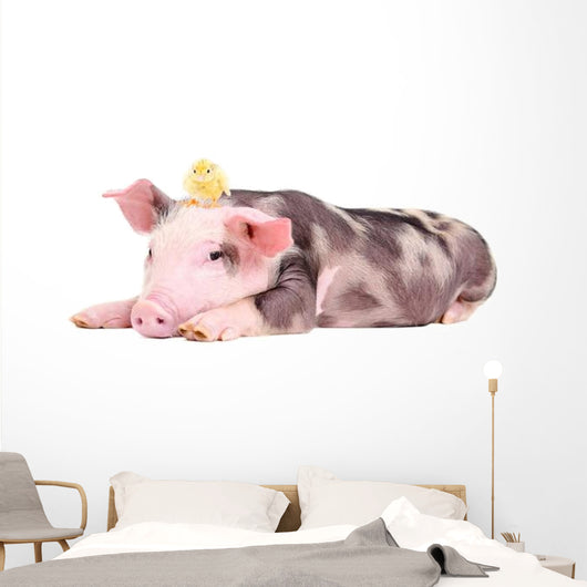 Little Pig with Chicken Wall Decal