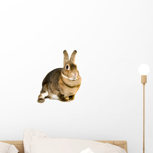 Hare Alert Wall Decal