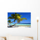 Phenomenal Beach with Palm Wall Decal