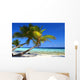 Phenomenal Beach with Palm Wall Decal